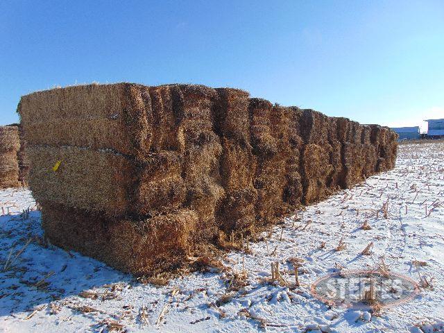 3x3x8 medium sq., alfalfa hay